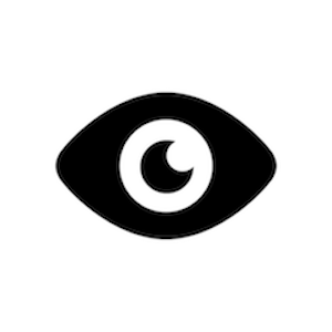 eyepetizer icon